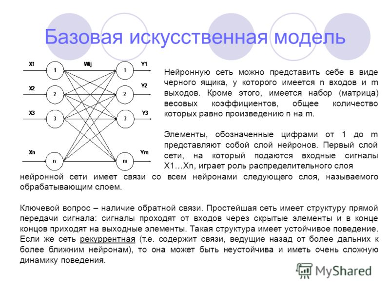 Реферат по теме Структура нейронных сетей Реферат по теме Структура нейронных сетей