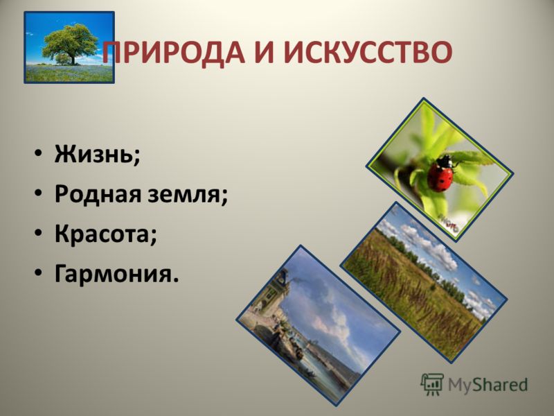 Поздравления на свадьбу в прозе и свадебные поздравления План-конспект занятия по рисованию (младшая группа) на тему: НОД