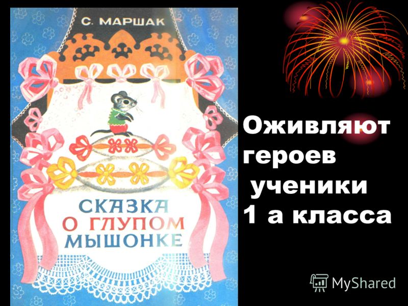 Цветок пуансеттия уход в домашних условиях. Как ухаживать Комнатные цветы драцена, уход в домашних условиях