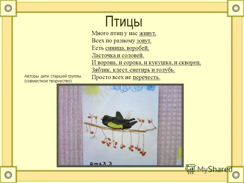 Стих о птиц для детей Стих о птиц для детей