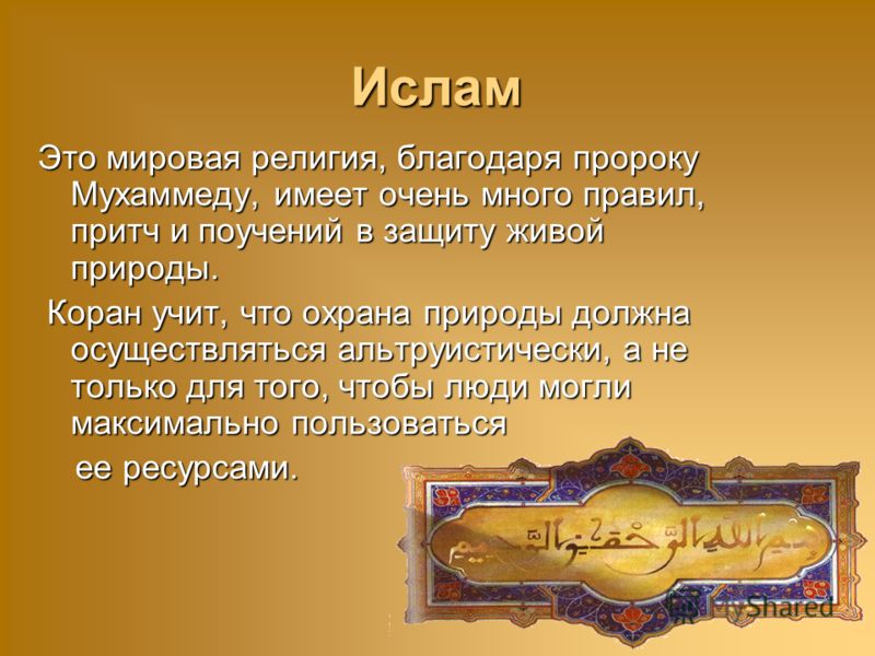 Отношение в исламе к природе Отношение в исламе к природе
