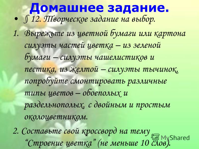 Силуэты цветка Силуэты цветка