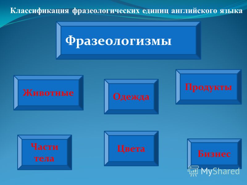 download The Building Program of Herod