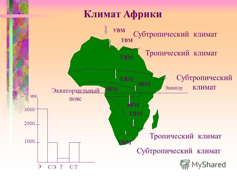 Конспект по географии 7 класс климат африки