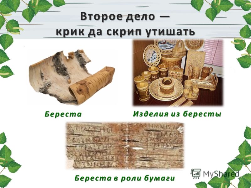 Готовый педагогический проект в школе про бересту Презентация на тему: "Берёза Проект на тему "Растение" Валерия Логинова ученица 