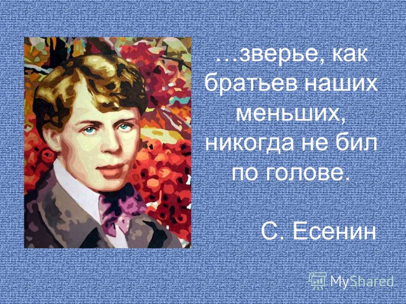 Поздравления воспитателям, няне, заведующей детского Плейкаст «С ДНЁМ РОЖДЕНИЯ АЛЕКСАНДР -КУМ ЗЯТЬ »