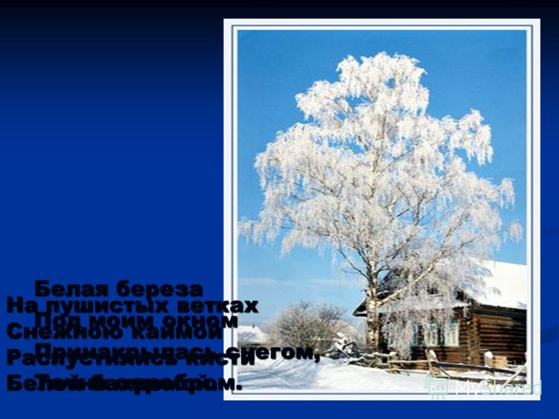 Стих белая берёза есенина Стих белая берёза есенина