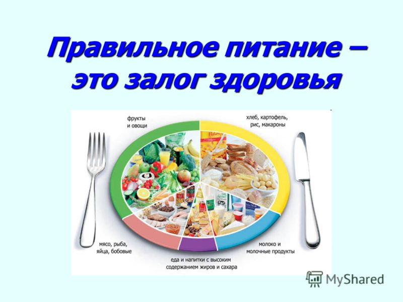 Реферат На Тему Рациональное Питание Школьника Реферат На Тему Рациональное Питание Школьника