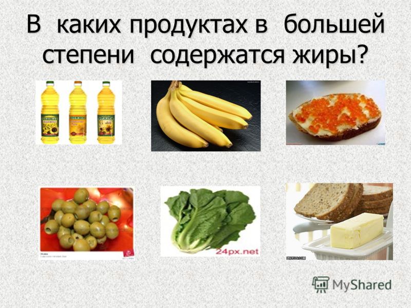 белки жиры и углеводы подарки матушки природы мультфильм. Смотреть фото белки жиры и углеводы подарки матушки природы мультфильм. Смотреть картинку белки жиры и углеводы подарки матушки природы мультфильм. Картинка про белки жиры и углеводы подарки матушки природы мультфильм. Фото белки жиры и углеводы подарки матушки природы мультфильм