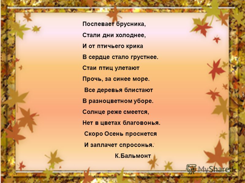 Стих и от птичьего Стих и от птичьего