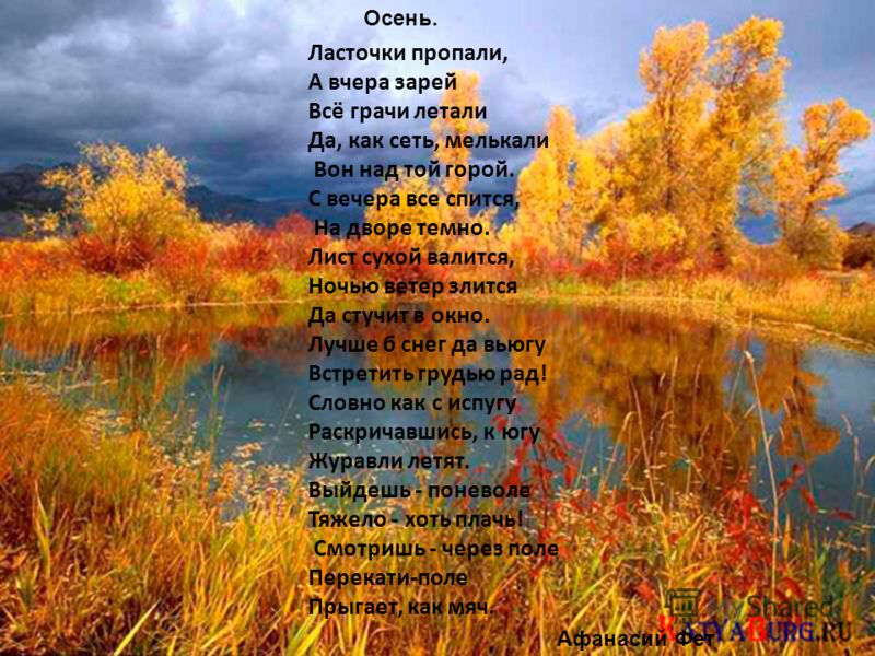 Ласточки пропали о чем стих Ласточки пропали о чем стих
