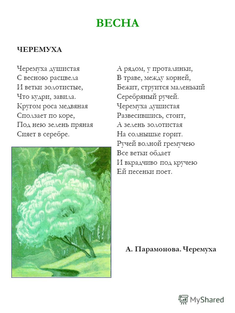 Поздравление по таджикскому Поздравление по таджикскому