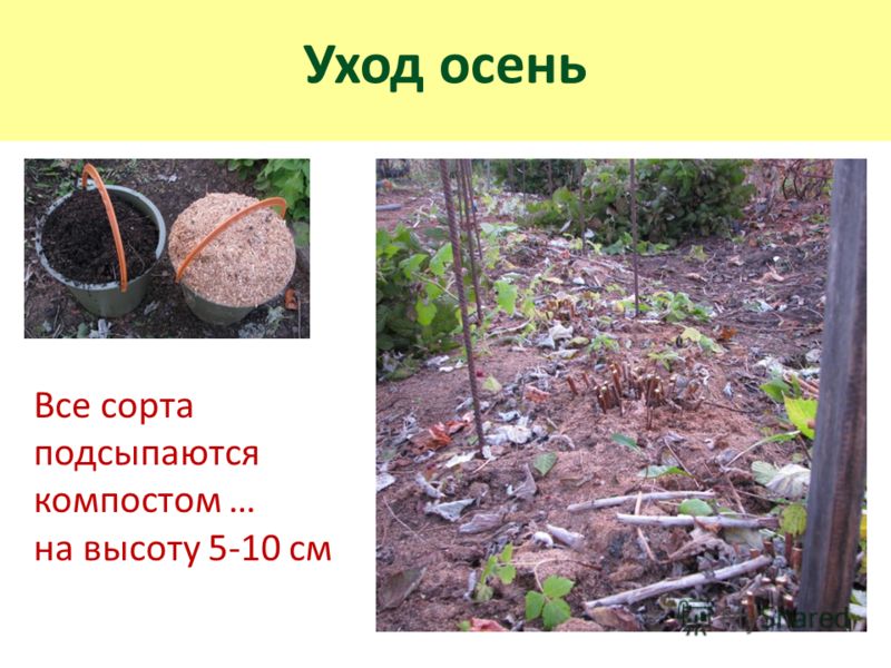 Консультация для воспитателей Конструирование в Консультация для воспитателей Конструирование в