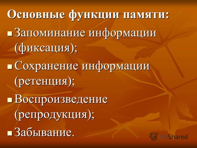 Функции памяти Функции памяти