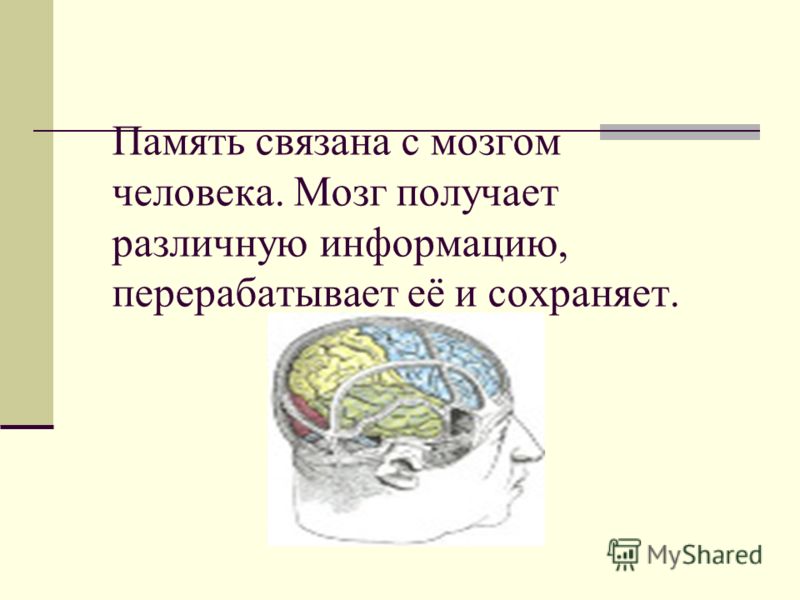 Память и все что с ней связано Память и все что с ней связано