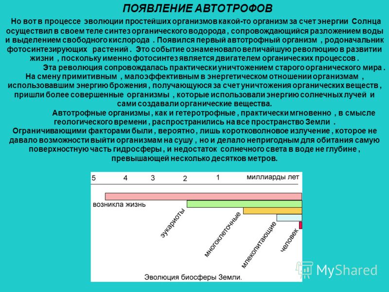 С чем было связано появление биосферы С чем было связано появление биосферы