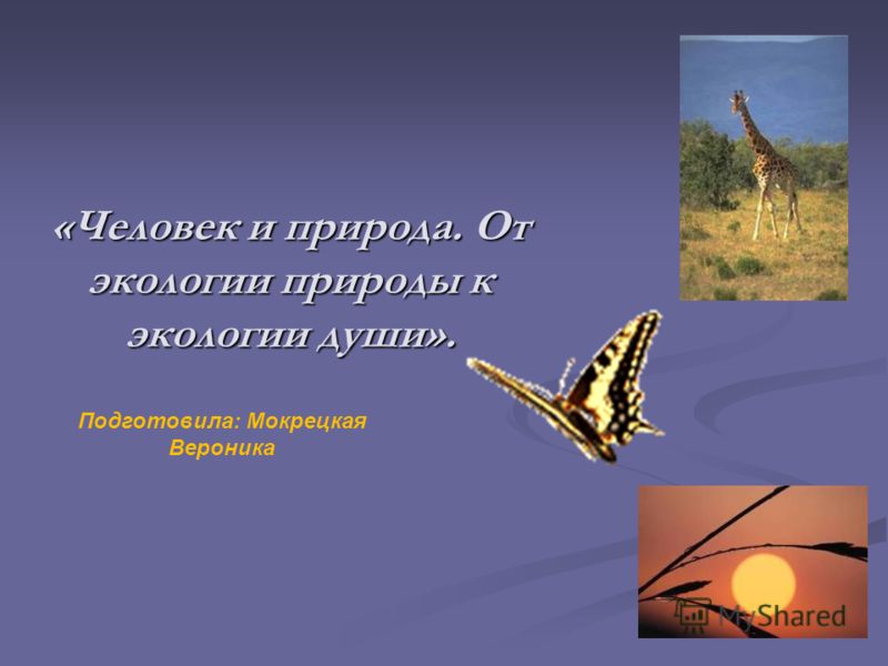 Читать книгу по ком звонит колокол хемингуэй