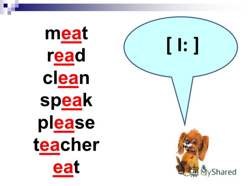 [ I: ] meat read clean speak please teacher eat