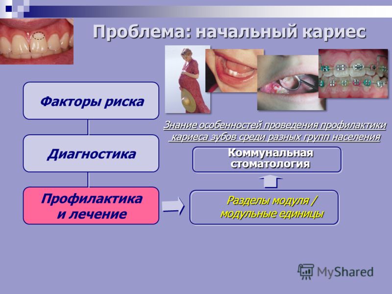 Пластиковые бутылки интересные поделки для сада Песни-поздравления с Днем Рождения