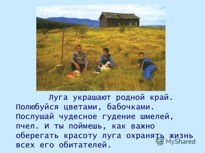 6 запиши пример использования луга человеком