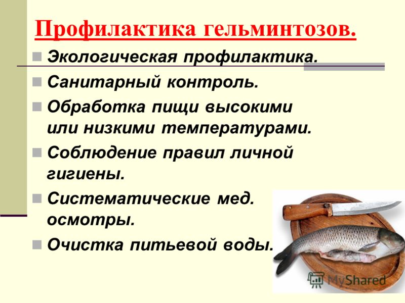 народный способ избавится от паразитов в организме народный способ избавится от паразитов в организме