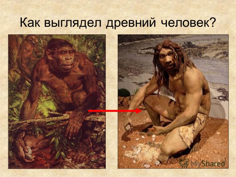 картинки как жили первобытные люди