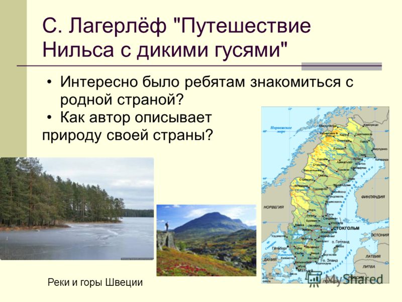 с.лагерлеф путешествие нильса с дикими гусями скачать