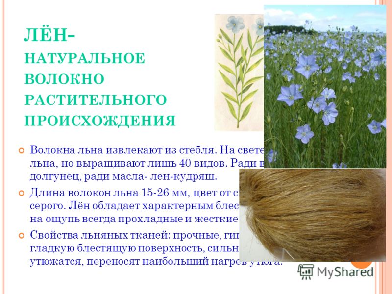Специалист по выращиванию льна 10