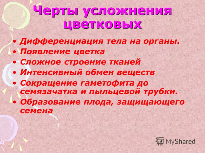 У цветковых есть семена У цветковых есть семена