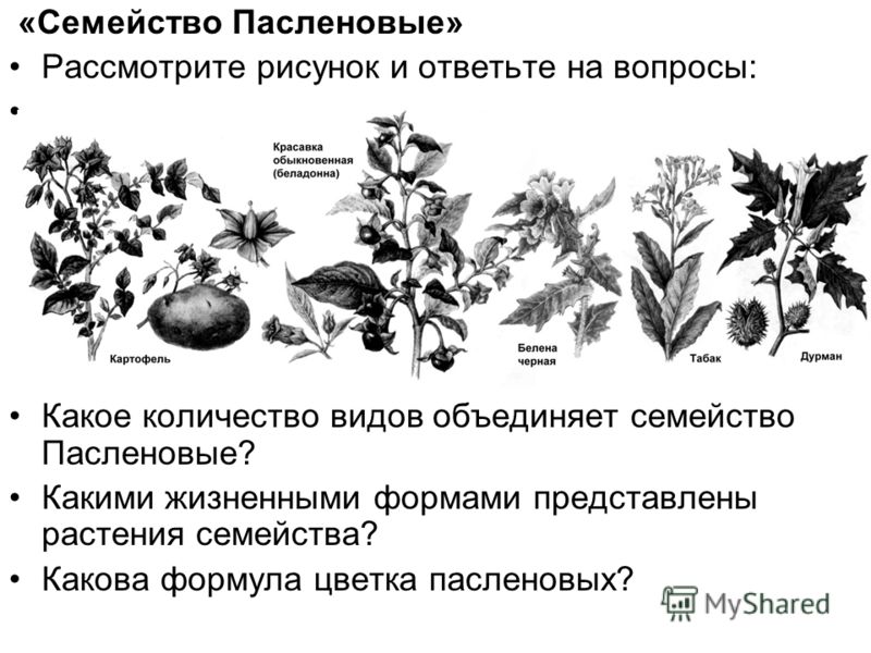 Девушки а латексе Девушки а латексе