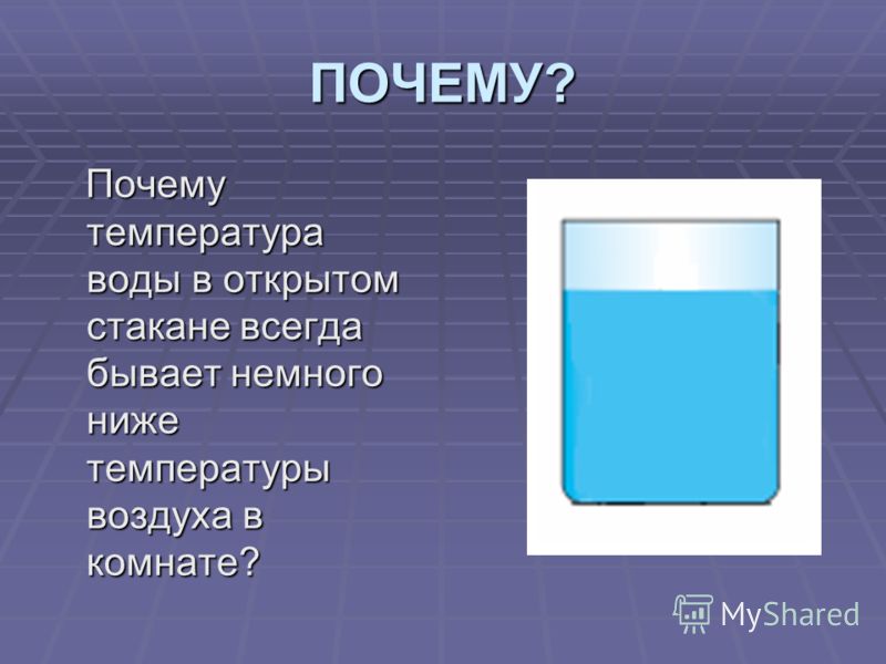 сучка почему не бывает температуры член Гламурные