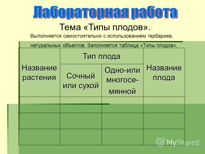 Заполните таблицу типы плодов в рабочей тетради