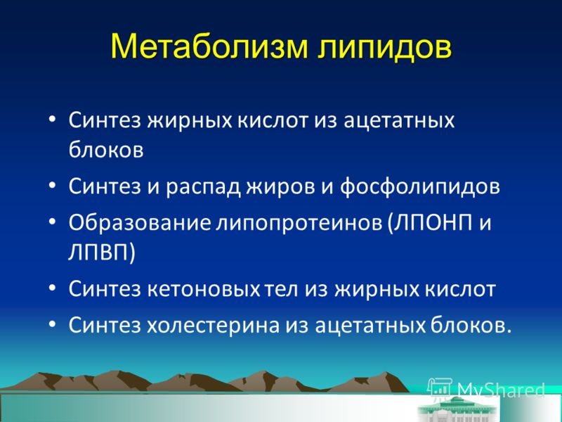 С чем связан синтез липидов С чем связан синтез липидов