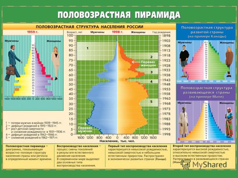Дипломная работа по теме Географические особенности рождаемости развитых стран Дипломная работа по теме Географические особенности рождаемости развитых стран
