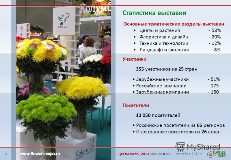Цветы и экология Цветы и экология