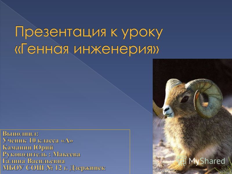 нанотехнологии кафедра нанотехнологии кафедра