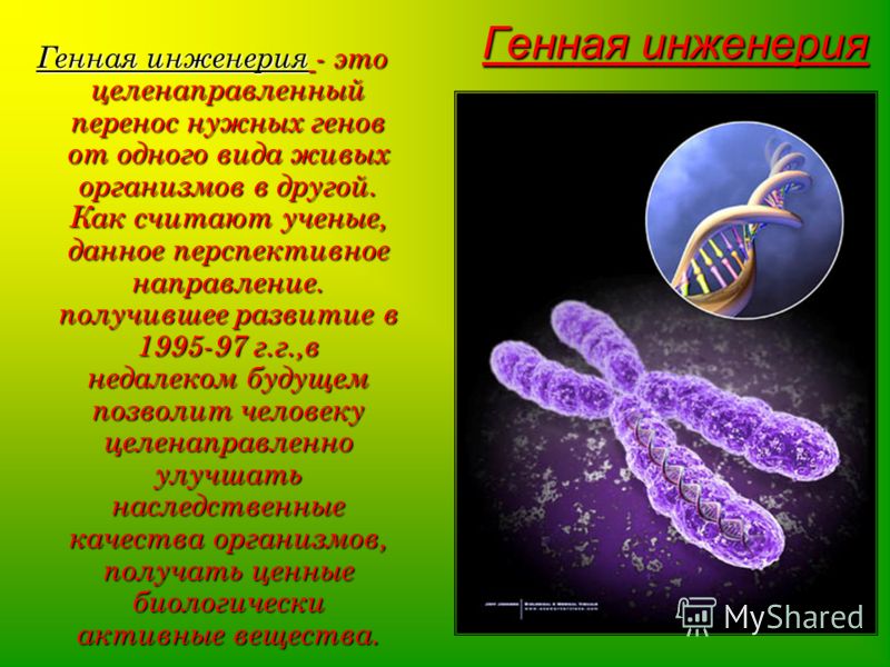 Биотехнология и Генная инженерия 10 класс презентация, доклад