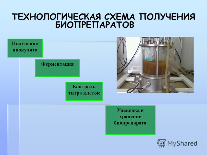 Технологическая схема получения биопрепарата Технологическая схема получения биопрепарата