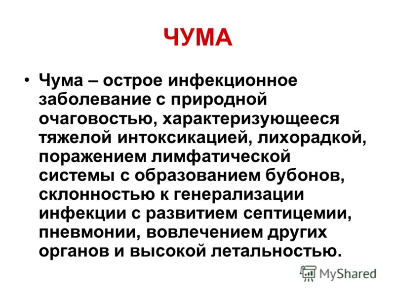 Презентацию На Тему Чума