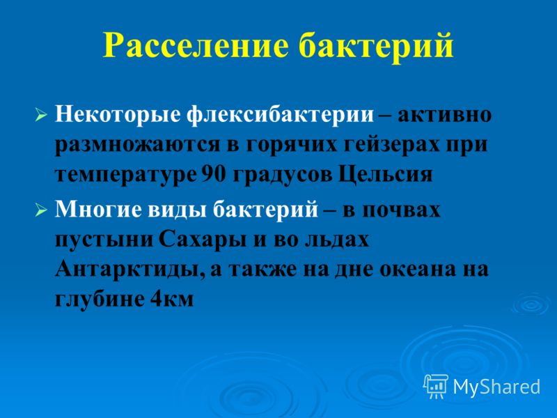 внутриклеточные паразиты человека внутриклеточные паразиты человека
