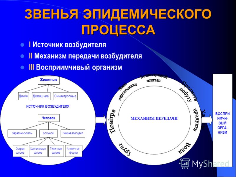 Схема эпидемиологического процесса кори Факторы эпидемического процесса таблица - TouristMaps.ru