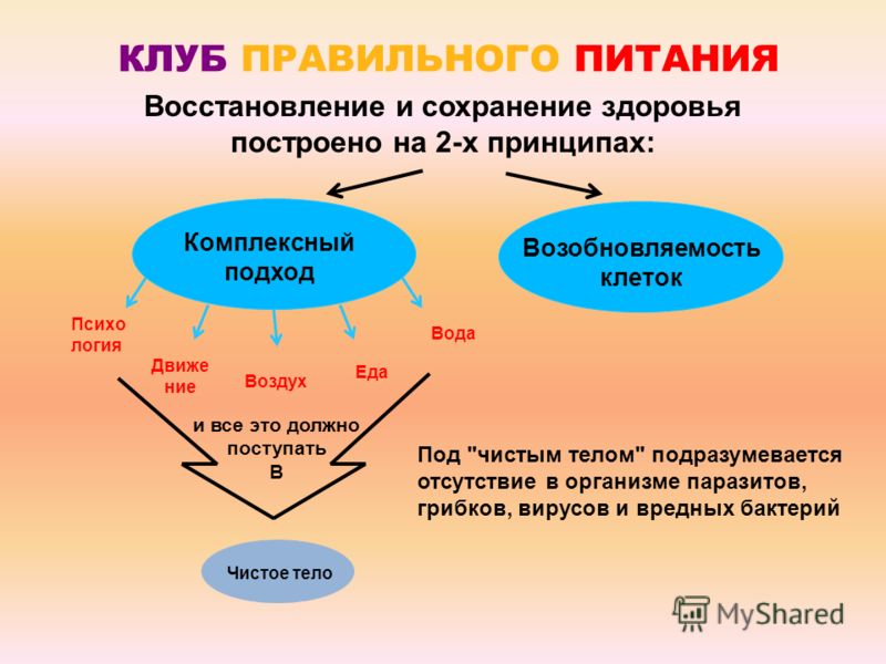 очистка кишечника от паразитов в домашних условиях очистка кишечника от паразитов в домашних условиях