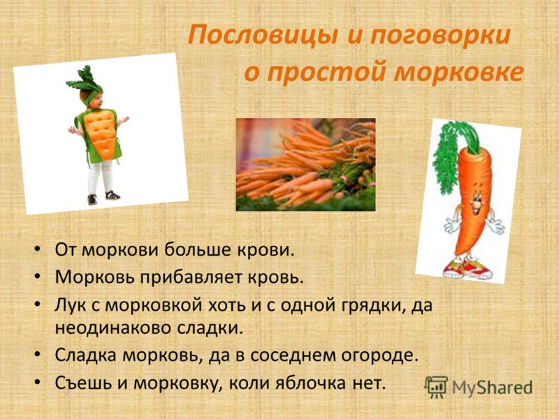 Книги поделки из ватных дисков Книги поделки из ватных дисков