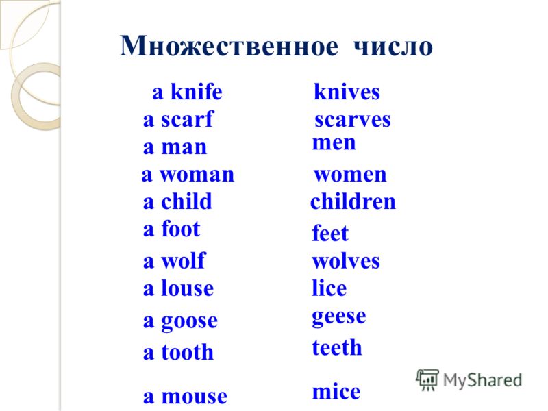 a knife a scarf knives scarves a man men a woman women a child children a foot feet a wolfwolves a louselice a goose geese a tooth a mouse teeth mice Множественное число