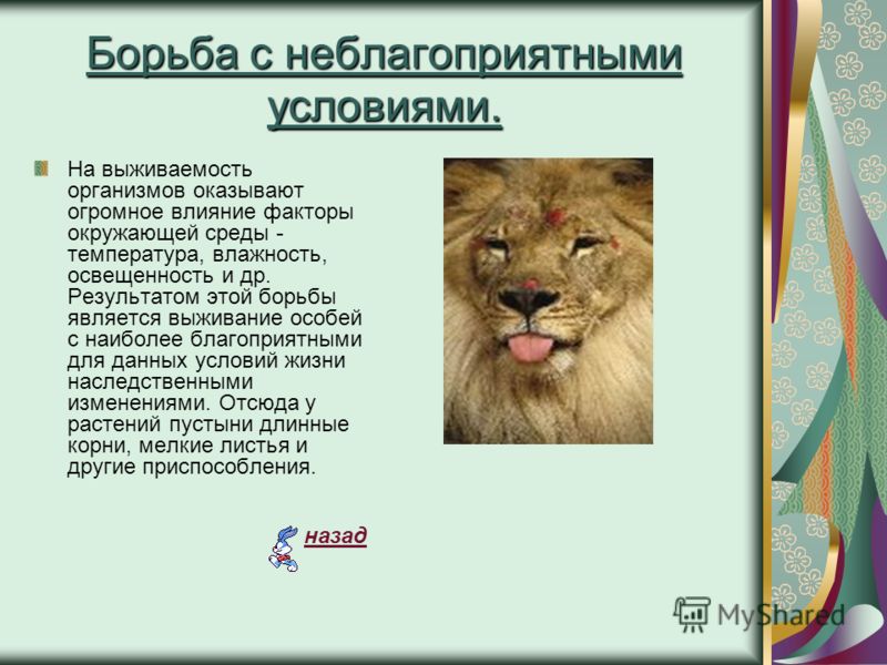 Борьба с неблагоприятными условиями примеры растений