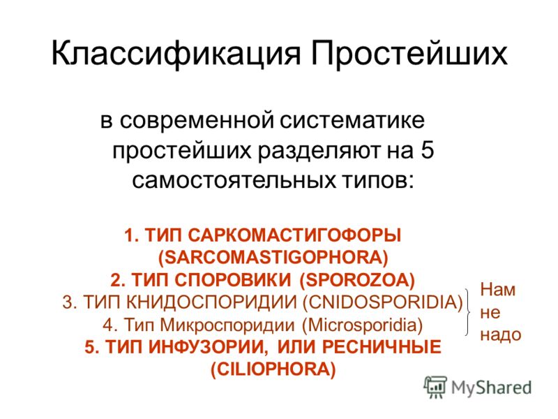 Классификация Простейших в современной систематике простейших разделяют на 5 самостоятельных типов: 1.ТИП САРКОМАСТИГОФОРЫ (SARCOMASTIGOPHORA) 2.ТИП СПОРОВИКИ (SPOROZOA) 3.ТИП КНИДОСПОРИДИИ (CNIDOSPORIDIA) 4.Тип Микроспоридии (Microsporidia) 5.ТИП ИН