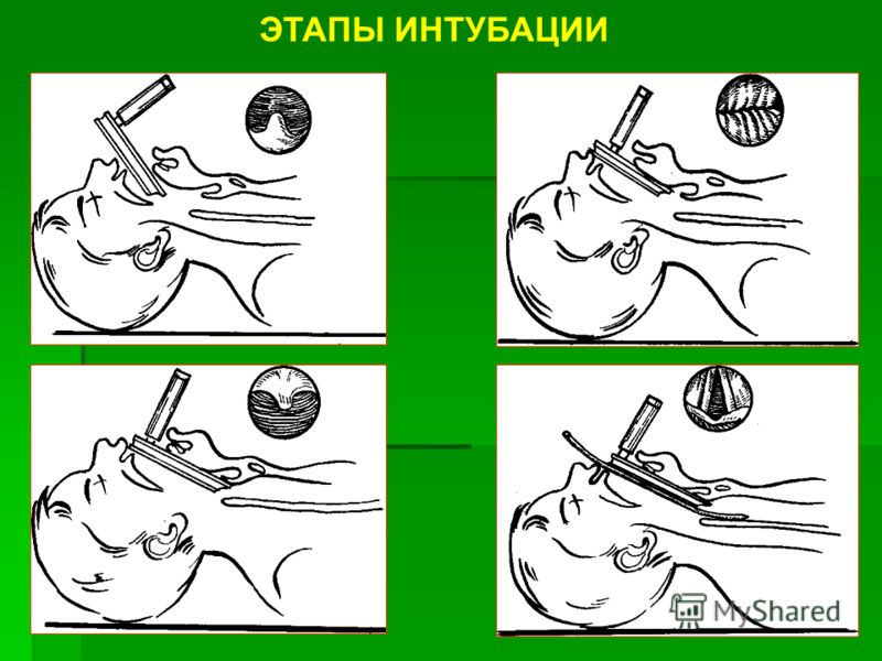 Русские фильмы 2016 года смотреть онлайн бесплатно Родительский форум Поговорим о нравственности