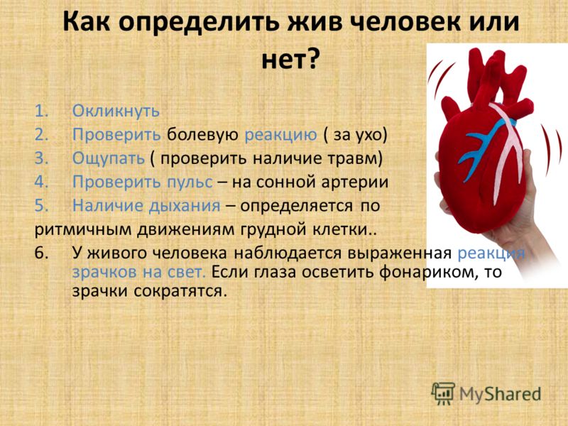 Мимические морщины убрать в домашних условиях Мимические морщины убрать в домашних условиях