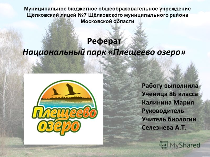 Реферат: Экология Москвы и Московской области