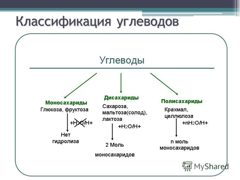 http://images.myshared.ru/5/395227/slide_8.jpg